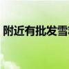 附近有批发雪糕的吗（附近批发雪糕的地方）