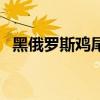 黑俄罗斯鸡尾酒的寓意（黑俄罗斯鸡尾酒）