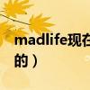 madlife现在在哪个战队（madlife是哪个队的）