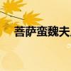 菩萨蛮魏夫人阅读答案（菩萨蛮魏夫人）