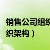 销售公司组织架构图怎么设计的（销售公司组织架构）