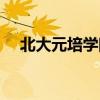 北大元培学院有多厉害（北大元培学院）