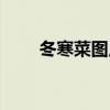 冬寒菜图片可以吃吗（冬寒菜图片）