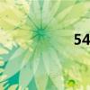 543ev.htm（543ev）
