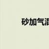 砂加气混凝土砌块工艺（砂加气）