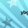 ybg战队（yg战队成员）