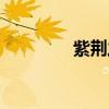 紫荆之月小说（紫荆之月）