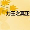 力王之真正敌人豆瓣（力王之真正敌人）