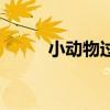 小动物过冬的故事（小动物过冬）
