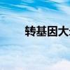 转基因大米米袋标志（转基因大米）