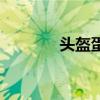 头盔蛋龟好养吗（头盔蛋龟）