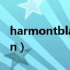 harmontblaine官方网站（blaine anderson）