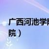 广西河池学院2022录取分数线（广西河池学院）