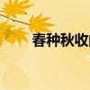春种秋收的成语有哪些(春种秋收) 春种秋收的成语有哪些(春种秋收)