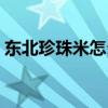 东北珍珠米怎么煮好吃（珍珠米怎么煮好吃）