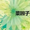 菜园子张青老婆（菜园子张青）