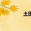 土田七的功效（土田七）