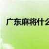 广东麻将什么叫大胡(广东麻将大胡图解) 广东麻将什么叫大胡(广东麻将大胡图解)