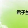 君子兰网名昵称（君子兰网）