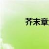 芥末章鱼图片大全（芥末章鱼）