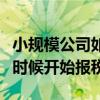 小规模公司如何自己报税（新注册的公司什么时候开始报税）