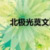 北极光莫文蔚哪年发行（北极光莫文蔚）