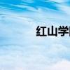 红山学院近况(红山学院官网) 红山学院近况(红山学院官网)
