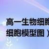 高一生物细胞基本结构思维导图（高一生物书细胞模型图）
