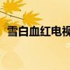 雪白血红电视剧演员表(雪白血红 电视剧) 雪白血红电视剧演员表(雪白血红 电视剧)