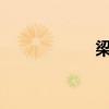 梁非凡吃屎是什么梗