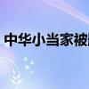 中华小当家被删除（中华小当家删减了什么）