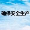 确保安全生产工作平稳有序（确保安全生产）