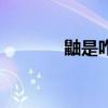 鼬是咋死的（鼬是怎么死的）