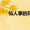 仙人掌的花的样子描写（仙人掌的花）