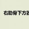 右肋骨下方器官图女（右肋骨下方器官图）