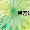 铭万公司怎么样(铭万骗子) 铭万公司怎么样(铭万骗子)