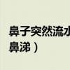 鼻子突然流水一样的鼻涕(鼻子突然流水不是鼻涕) 鼻子突然流水一样的鼻涕(鼻子突然流水不是鼻涕)