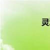 灵溪吧美容（灵溪吧）