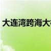 大连湾跨海大桥简介概况（大连湾跨海大桥）