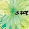 水中花歌词国语（水中花歌词）