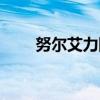 努尔艾力阿巴斯（阿努巴尔的束缚）