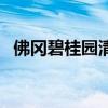 佛冈碧桂园清泉城别墅价格（佛冈碧桂园）