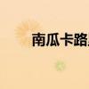 南瓜卡路里是多少卡（南瓜卡路里）