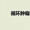 循环肿瘤细胞检查（循环肿瘤细胞）