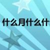 什么月什么什么四字成语（什么月什么什么）