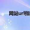 网站url指的是什么（url指的是什么）