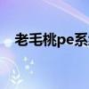 老毛桃pe系统如何上网（老毛桃pe系统）