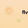 flv详解（flv地址解析）