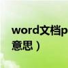 word文档pt是什么意思（word里pt是什么意思）
