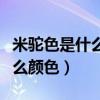 米驼色是什么颜色适合什么皮肤（米驼色是什么颜色）